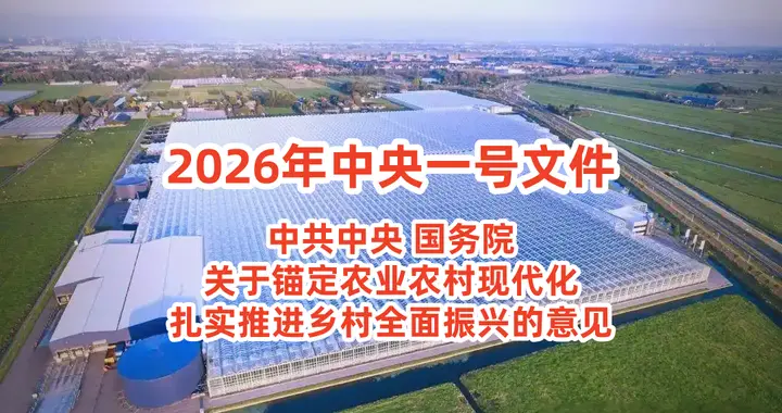 2026中央一号文件发布，设施农业再迎发展黄金期