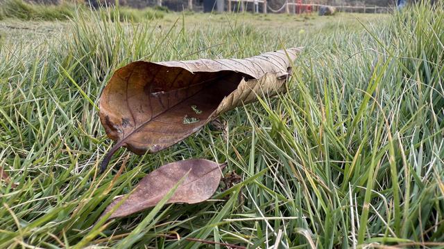 大猛评论：真正踏入了婚姻，才懂得那句“婚