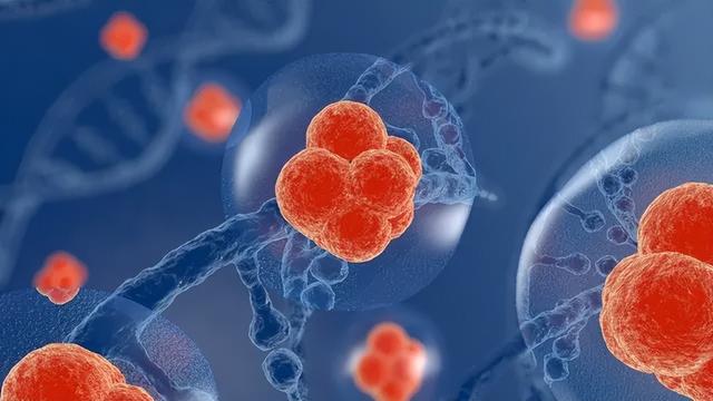 淋巴瘤患者可康复，医生表示：这三种类型康复率很高！