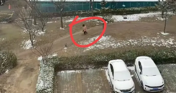 扰民多日，女子养了6年的大公鸡被杀，拿喇叭日夜在小区里追凶