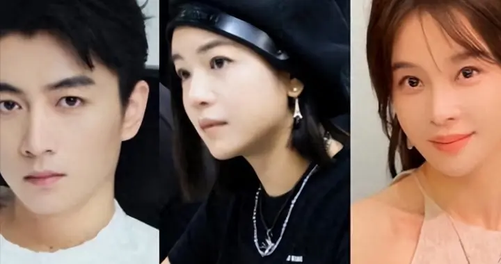 吃相太难看！自曝怀孕高调示爱陈晓的赵樱子，撕下自己仅剩"体面"