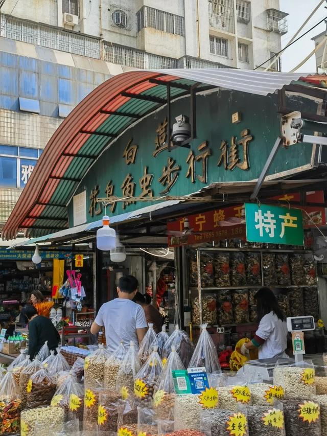 30年的白燕街花鸟市场变网红打卡点？佛山人：我要的不是这种高级