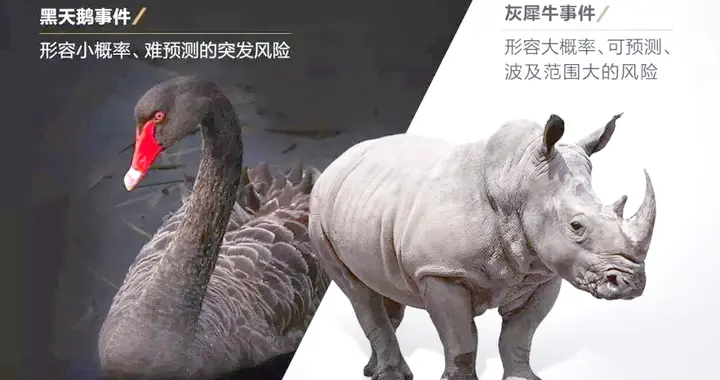黑天鹅、灰犀牛事件的区别与联系