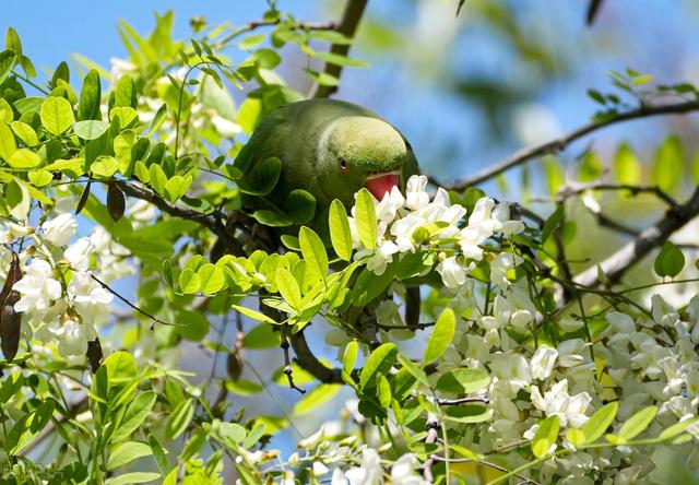 利益面前看人品,你认为有道理吗?