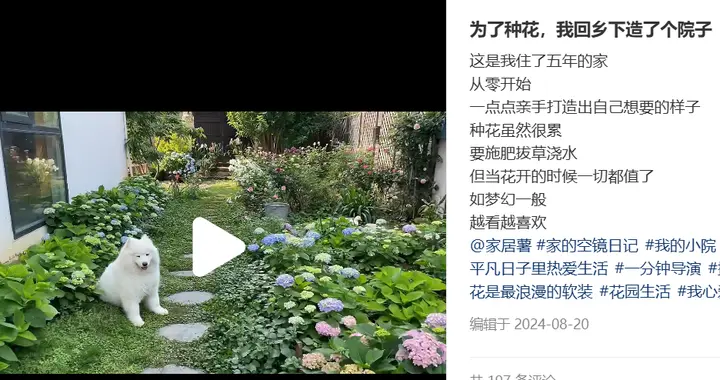 为了种花，我回农村造了个院子