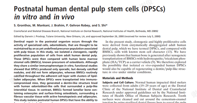 牙齿坏了？乳牙牙髓干细胞或可将它“复活”