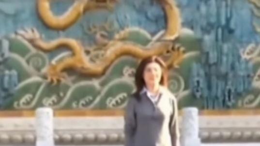 虎贲之刃：龙：背景是北京故宫九龙壁上的鎏