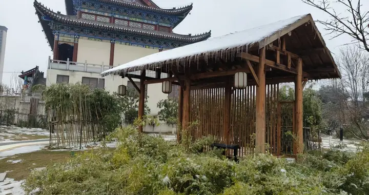 洪山飞雪：游击队员老胡的飞镖在闪耀