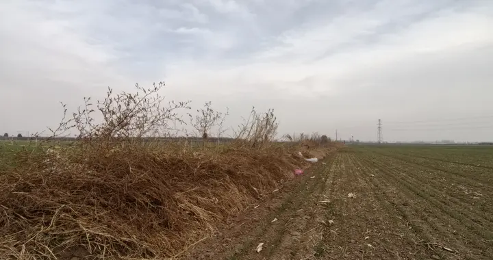 探秘辛集百福村，旧河道古寨沟，双二七惨案，这香村历史，真硬核