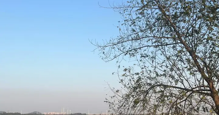 14%高分红竟是陷阱？股价10年从54.56跌到4.2，5万股东被套真相