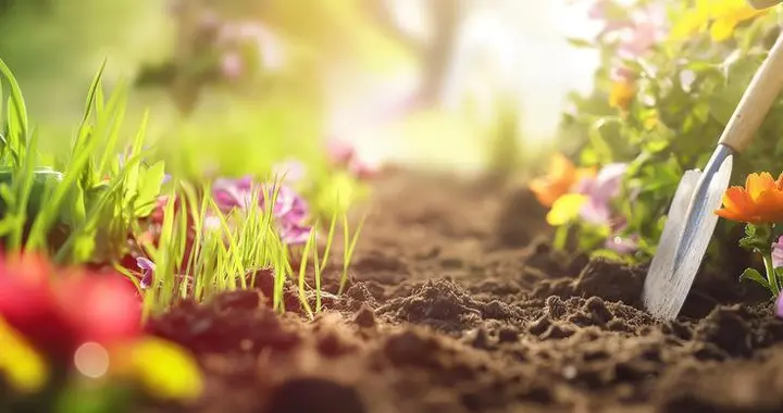 糖友春天不要错过这2种芽菜，有助调节血糖！内附做法