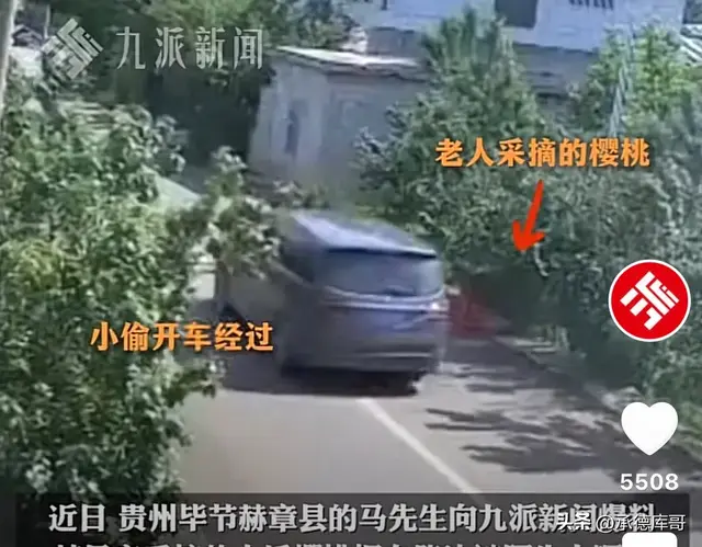 全网抓小偷！六旬老人采摘2个小时放在路边樱桃，被路过男子偷走