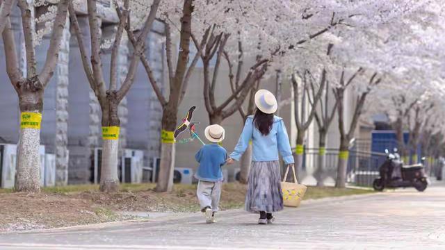 自在景空：我们总以为 只有指出