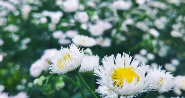 人活着，是为了来世间受苦的吗？