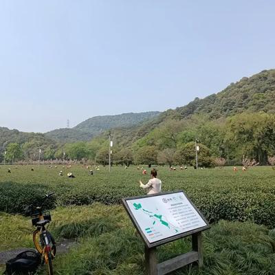 自由的飞鱼鱼：杭州