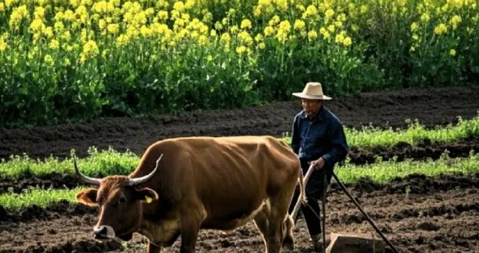 土地有偿退出，真的是给农民发福利吗？