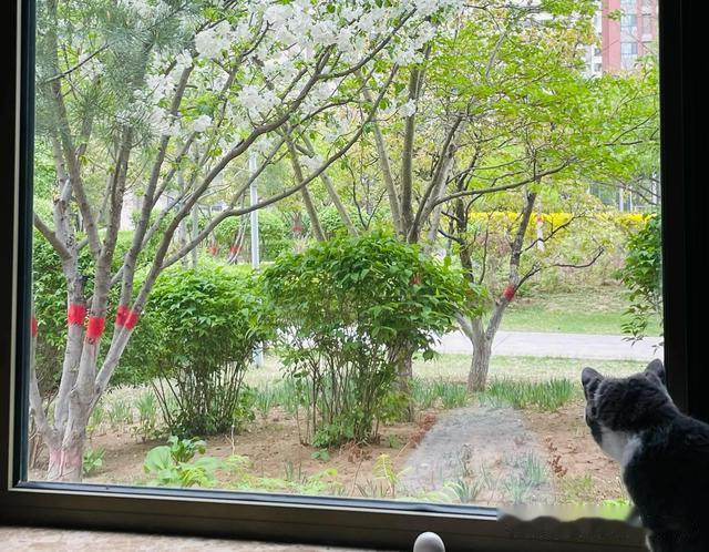 已经中年了，余生不长，别想太多，能每天开开心心的就已经很好