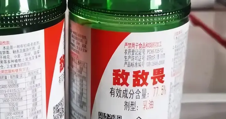 3块钱毒药消杀后厨：正规军被卷死，敌敌畏为何成餐饮潜规则？