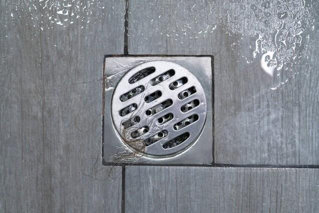 吃什么食物能促进天天排便？医生：4种食物可帮你疏通“下水道”