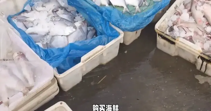 网购买家多次退款引发争议