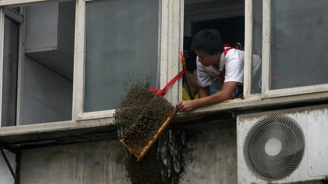 发财巴顿1g1C：4月9日，杭州有位男子