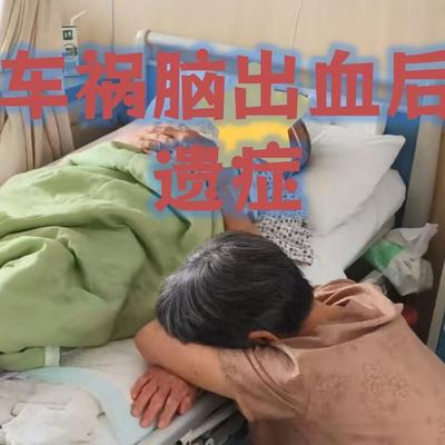兰姐：河南李大叔突发脑出血瘫在床上，生活
