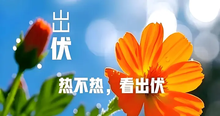 热不热，看出伏！今日出伏，还会热多久？冬天冷不冷？答案有了