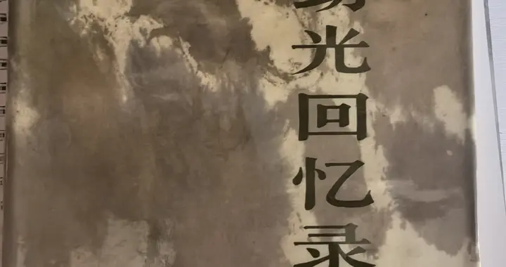 肖劲光“四野副司令员”职务的完整解读