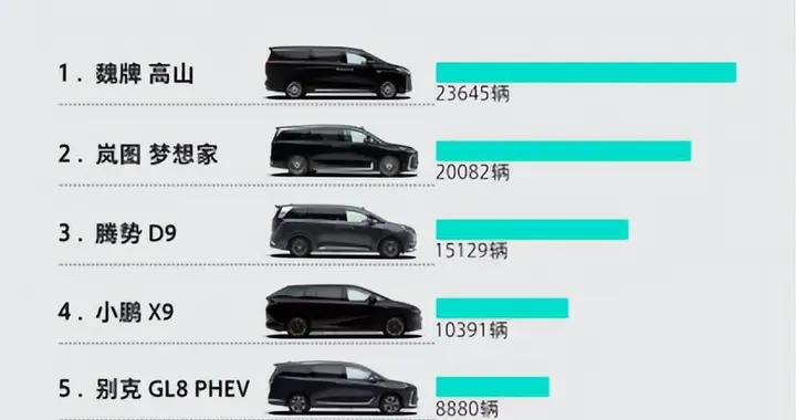 家用 MPV 人气王魏牌高山，带火MPV热潮