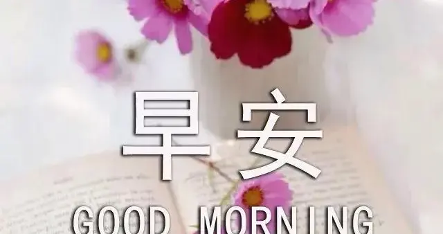 中老年表情包：在痛苦面前，浴火重生学会坚强