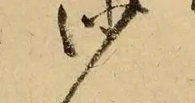 鲜于枢为韩干《牧马图》题下狂草诗跋，如万马奔腾，书坛绝唱！