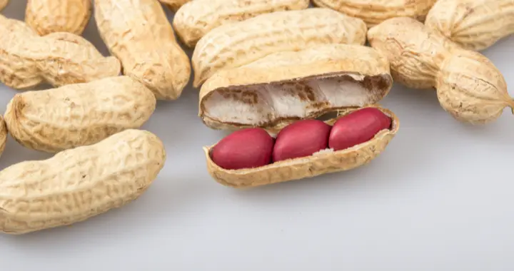 花生再次被关注！医生发现：糖尿病常吃花生，不过半年或有5好处