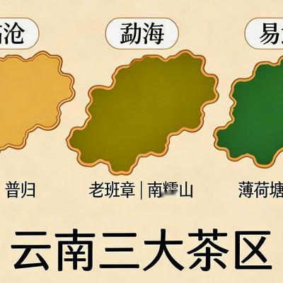 刀哥说茶：临沧、勐海、易武普洱生茶大PK