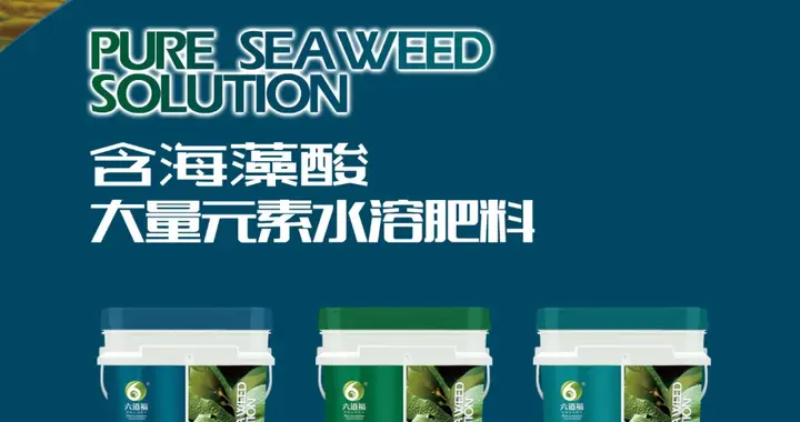 硝态氮肥为什么不宜在水稻田中施用