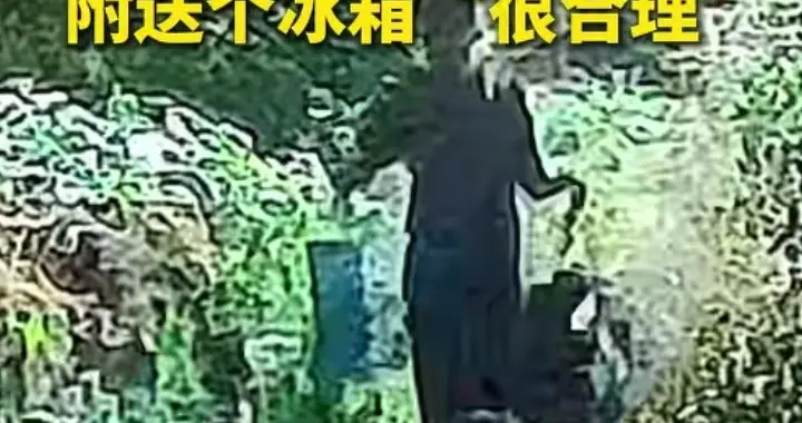 民警小案不小办抓获偷菜贼，报警人给他们送一台新冰箱