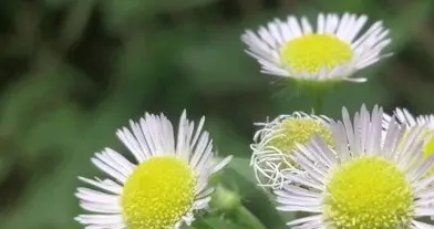 人活着最大的通透：生不带来，死不带去，别自寻烦恼