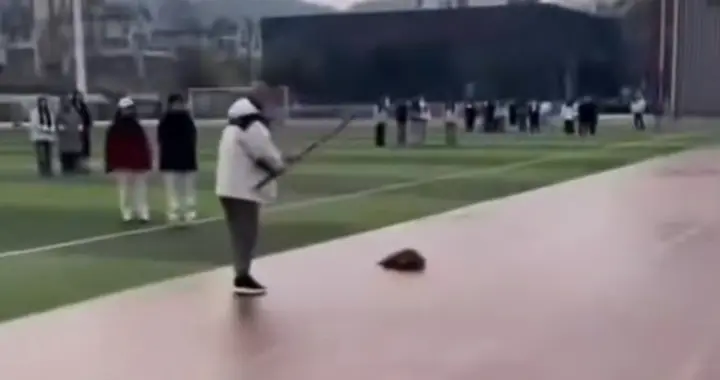 校园惊魂！老师棒杀流浪狗引众怒