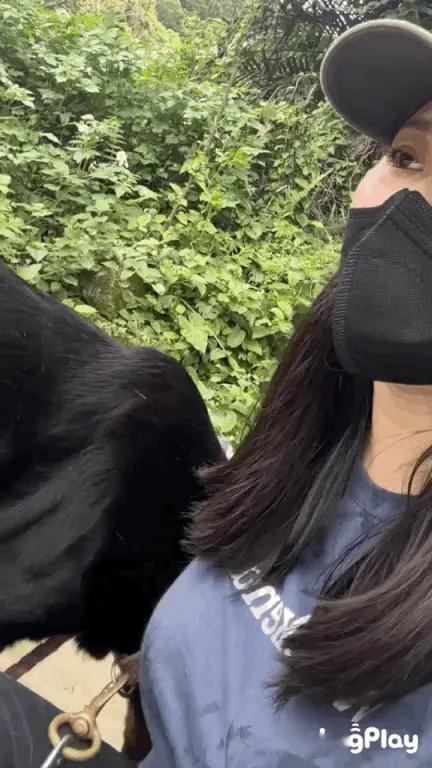 抖东抖兮：好像有什么东西跳出来了