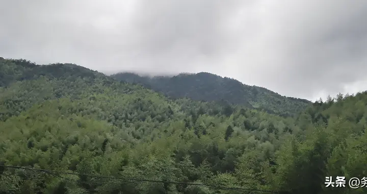 国家林业和草原局举报电话