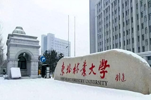 中国最大大学在哈尔滨，3.3万公顷顶70北大85清华，还是211！
