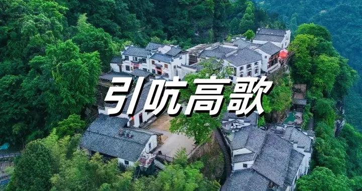 引吭高歌，该怎么读？你读对了吗？