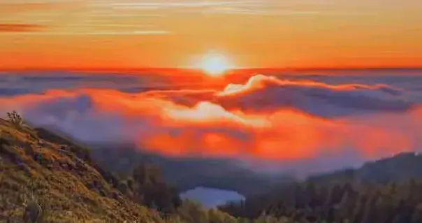 你有没有发现，生活顺不顺，有时不靠本事，全看心情