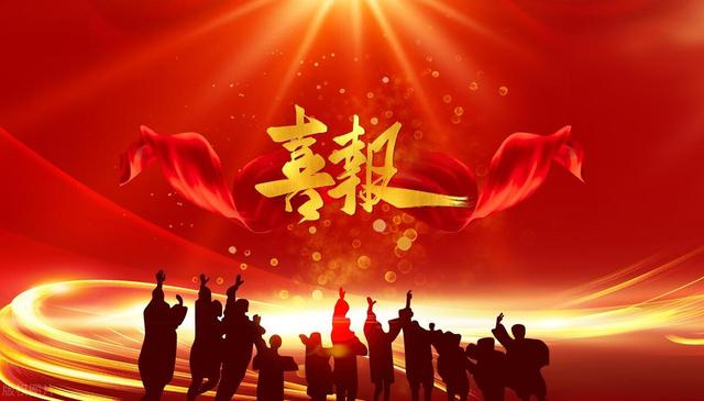 山东24年高校专项招生统计：济宁金乡15升学去向