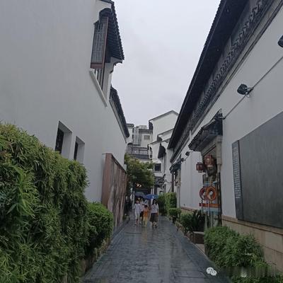 京事发现：朱雀桥边野草花，乌衣巷口夕阳斜