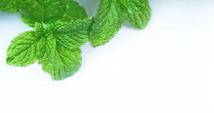 生活小常识一物降一物