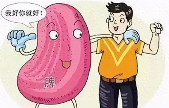 脾虚还在用参苓白术？一个健脾绝招三步曲，把亏损的脾养到根上！