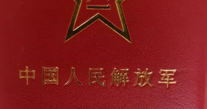 同样扛过枪，为何伤残、离退休人员优待高于普通退役军人？