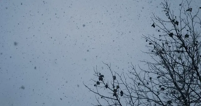 南京除夕飘雪！湿冷暴击后大反转，初五直冲23℃