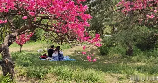 驻外人员落入桃花陷阱被策反