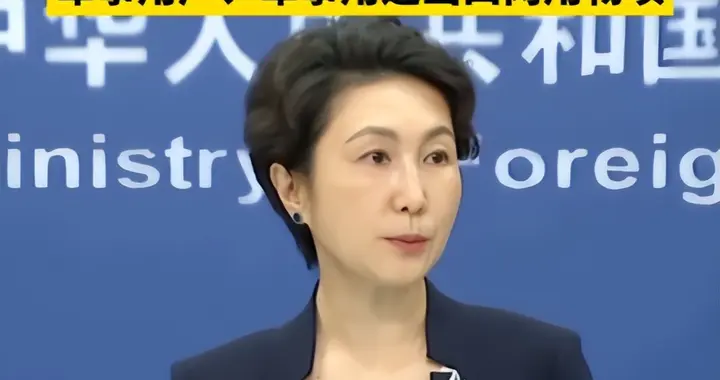 正式断供稀土，日本连夜找法国续命，赤泽：出口方立即纠正错误！
